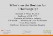What’s on the Horizon for Fetal Surgery? Interventional Surgery - Moise.pdf · \爀屲Birthweight in the feta對l surgery group was about 1.5 pounds less than the group that had