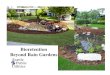 Bioretention Beyond Rain Gardensdepts.washington.edu/uwbg/docs/stormwater/Bioretention07.pdf- Stormwater Planters - Linear Bioretention in Parking Lots - Linear Bioretention in the