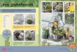 For the curious From DK’s Let’s Get Gardening€¦ · good and helps the cactus grow. Now make more and create a greenhouse garden! Nou will need Glass jar Tape Glass pen Soil