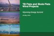 TB Flats and Ekola Flats Wind Projects...TB Flats and Ekola Flats Wind Projects Summary 750 Megawatts Up to approximately 300 Wind Turbines, depending on turbine technology Planned