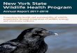 New York State Wildlife Health Program Annual Report 2017-2018 Report_2017... · of West Nile virus since 2016, ... managing social media accounts. Website launched to improve communication