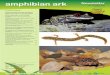 AArk Newsletter amphibian ark Newsletter · 2020-03-08 · 1 AArk Newsletter amphibian ark Number 49, March 2020 Keeping threatened amphibian species afloat Newsletter No. 49, March