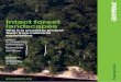 Intact forest landscapes · Forest management is still largely aiming at industrial timber production despite the myriad of other goods and services forest ecosystems provide. It