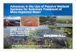 Advances in the Use of Passive Wetland Systems for ... · Selenium is Present in Surface Coal Mine Drainage GeologyofseleniumGeology of selenium –Low sulfur, fresh water coal deposits