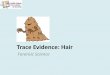 Trace Evidence: Hair · 2017-01-09 · Trace Evidence: Hair Forensic Science. Human & Animal Hair 3 Main differences 18 Human Hair Animal Hair Pigment remains constant in its color