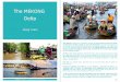 EN16MK · 2015-11-28 · The MEKONG Delta Along rivers The Mekong, coming from Cambodia, spreads into 9 big rivers in the very South ... the Unicorn island, the Turtle island and