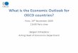 What is the Economic Outlook for OECD countries? · What is the Economic Outlook for OECD countries? Paris, 19th November 2009 11h00 Paris time Jørgen Elmeskov Acting Head of Economics