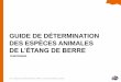 GUIDE DE DÉTERMINATION DES ESPÈCES ANIMALES · 2018-07-25 · représentent 80% des espèces animales connues. Coque Glauque (Cerastoderma glaucum) Huître plate (Ostrea edulis)