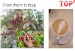 From #farm to #cup - Global Forumglobalforum.items-int.com/gf/gf-content/uploads/... · Digital platform connecting From #farm to #cup Farmers Cooperatives Foreign Purchasers Restaurant/hotels