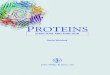 PROTEINS · Secondary structure 39 Tertiary structure 50 Quaternary structure 62 The globin family and the role of quaternary structure in modulating activity 66 Immunoglobulins 74