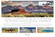 YELLOWSTONE & GRAND TETON NATIONAL PARKS...Grand Teton National Park (6,800 ft.) Ucross Buffalo Crazy Horse For more information and to book, contact Maria McCall at Montecito Bank