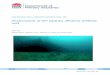 Assessment of the Sydney offshore artificial reef · 2017-11-08 · Chapter 4 – Zooplanktivory as a pathway for fish production on the Sydney OAR – ... Pelagic baited remote underwater