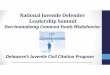 National Juvenile Defender Leadership · National Juvenile Defender Leadership Summit Decriminalizing Common Youth Misbehavior This program is funded through the Delaware Criminal