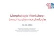 Morphologie Workshop - SULM · 2016-06-30 · Morphologie Workshop: Lymphozytenmorphologie 16.06.2016 Margrit Bader, leitende BMA, Kantosspital Aarau, Myriam Legros, leitende BMA,