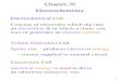 Chapter 20 ElectrochemistryElectrochemistry Electrochemical Cell Consists of electrodes which dip into an electrolyte & in which a chem. rxn. uses or generates an electric current