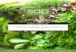 Living Walls - SAP Groupsapgroup.com/wp-content/uploads/2017/03/SAP-Branded-Living-Walls-indoor...Spathiphyllum Wallisii • Easy to grow • Moist soil, do not let it dry out •