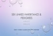 Sex linked inheritance & Pedigreesnilssonscience.weebly.com/.../sex_linked_inheritance___pedigrees.pdf · sex linked traits •in humans, the ... pedigree showing hemophilia inheritance