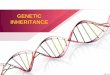 GENETIC INHERITANCE€¦ · - Define types of inheritance that deviate from Mendelian 4.3: Genetic Mapping - Define genetic mapping. Deviations from the Mendelian inheritance Codominant