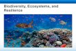 Biodiversity, Ecosystems, and Resilience Biodiversity, Ecosystems, and Resilience. Learning Objectives