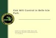 Belle Isle Park Oak Wilt presentation...DNR, Waterloo RA DNR, Waterloo RA DNR, Waterloo RA Carving out the ‘cancer’ of the disease. Must include all trees that could possibly be