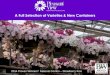 INNOVATIONS IN FLORICULTURE A Full Selection of Varieties ... Finished Availability/May... · Fruit Fusion 10” Combo Hanging Baskets Evening Candlelight 10” Combo Hanging Baskets