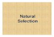 Natural Selection - Clover Sitesstorage.cloversites.com... · 2015-05-15 · The Full Title of Darwin ’s Book “The Origin of Species by Means of Natural Selection , or the Preservation
