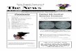 Rocky Mountain Prospectors & Treasure Hunters Newsletter ...rmpth.com/Newsletter/RMPTH0719.pdf · air of metal detector friends discover three quarters of a TON of Iron Age coins