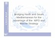 M A P Bridging North and South Mediterranean for the ... · Mediterranean Action Plan The role of the Barcelona Convention (iii) MSFD Establishment of environmental targets “…