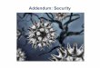 Addendum: Security · Security: Monitoring check for suspicious patterns –login times audit logs periodic scans for security holes (bad passwords, set-uid programs, changes to system