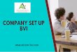 Company Set Up BVI