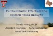 Parched Earth: Effects of the Historic Texas Drought · •Wichita Falls – 111 F (26 days ... Pest Management . Spring Dead Spot (SDS) ... SDS Chemical Control - 2010 0 5 10 15