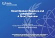 Small Modular Reactors and Generation-IV A Short Overviewindico.ictp.it/event/8725/session/1/contribution/2/material/slides/0.pdf · materials and/or fuels, operating environment