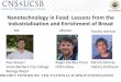 Nanotechnology in Food: Lessons from the Industrialization ...inset-csep.cnsi.ucsb.edu/.../files/...presentation.pdf · Is Nanofood Worth The Risk? Thank You! SES 0938099 This research