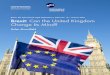 Brexit: The International Legal Implications | Paper …...2 Brexit: The International Legal Implications | Paper No. 10 — January 2018 • Helen Mountfield a prerogative had taken