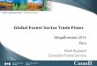 Global Forest Sector Trade Flows - MegaFlorestaismegaflorestais.org/wp-content/uploads/2016/09/MF15_Mark-Boyland… · Graphic paper is dying 4. Southern pulp emerging 5. Industry