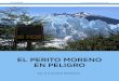 EL PERITO MORENO EN PELIGRO - Argentina Ambientalargentinambiental.com/wp-content/uploads/pdf/AA56-42-El... · 2016-12-07 · Perito Moreno. Cuando el Lago baje, por alta produc-ción