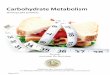 Carbohydrate Metabolism - Legere Pharmaceuticals€¦ · Garcinia Cambogia is a small or medium-sized tree with horizontal or drooping branches and dark, green leaves approximately