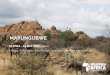 MAPUNGUBWE - Wildrun · of Mapungubwe, protected now within the Mapungubwe National Park, South Africa. Expect a day laced with wildlife sightings, unimaginable trail running and