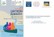 Immunoterapia nel carcinoma mammario: risultati degli studi cliniciweb2.sacrocuore.it/oncologia/canoa2018/23_03_2018/08_Conte.pdf · Pooled individual patient data analysis of tumor