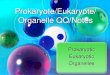 Prokaryote/Eukaryote/ Organelle QQ/Notes€¦ · Organelle QQ/Notes Prokaryotic Eukaryotic Organelles . Quick Question 1 What are the ... • some have a cell wall ... Compare and