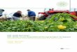 EIP-AGRI Seminar: EIP-AGRI: From Operational Group project ... · The supporting document for this presentation, “Outlook on EIP-AGRI programming post-2020” is available here