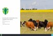 Assessing the Sustainability of the Canadian Beef Industry · Critical review panel . Experts Scientific literature . Survey sample . Industry literature . Public ... Commitment to