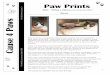 Cause 4 Paws - Lakewood Animal Hospital · Cause 4 Paws Cause 4 Paws is a 501(c)(3) charity recognized under Internal Revenue regulations. Cause 4 Paws is also in compliance with