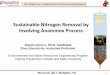 Sustainable Nitrogen Removal by Involving Anammox Process · Sustainable Nitrogen Removal by Involving Anammox Process March 23, 2017, Abingdon, VA Xiaojin (Jim) Li, Ph.D. Candidate