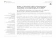 Role of Protein Glycosylation in Candida …publicatio.bibl.u-szeged.hu/9543/1/fmicb-07-00306.pdfORIGINAL RESEARCH published: 08 March 2016 doi: 10.3389/fmicb.2016.00306 Frontiers