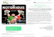 Notorious - Chesapeake & Hudson, Inc....Conor McGregor, but how Conor McGregor revolutionized the ﬁ ght game The Dubliner has achieved more in three years with the UFC than anyone