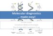 Molecular diagnostics … made easy - Lymphoma Action · Burkitt Lymphoma confirmed by FISH • CD20 + • CD10 + • BCL2 - • MUM1-• IGH@MYC + • IGH@BCL2 - • BCL6-IGH@MYC