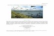  · AMNWR 08/16 BIOLOGICAL MONITORING AT BULDIR ISLAND, ALASKA IN 2008: SUMMARY APPENDICES Photo: Ian Jones Kevin J. Payne Key words: Aethia cristatella, Aethia psittacula, Aethia