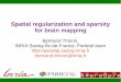 Spatial regularization and sparsity for brain mapping1).pdfJune 2014 Spatial Regularization & sparsity for brain 4 mapping Outline Machine learning techniques for MVPA in neuroimaging
