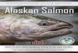 Division of Sport Fish Alaskan Salmon - Home Page, Alaska ...€¦ · More information at Caring for Your Catch • If you don’t plan to keep the fish you catch as food, you must